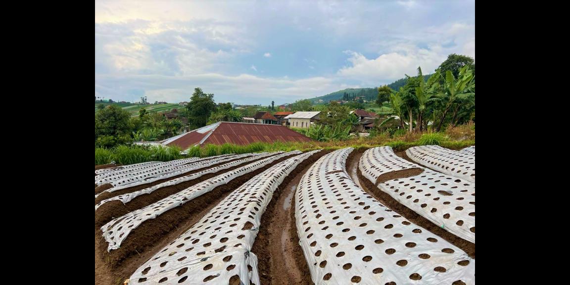 Tanah View Istimewa 200m Kemuning Karanganyar  Tanah View Istimewa 200m Kemuning Karanganyar