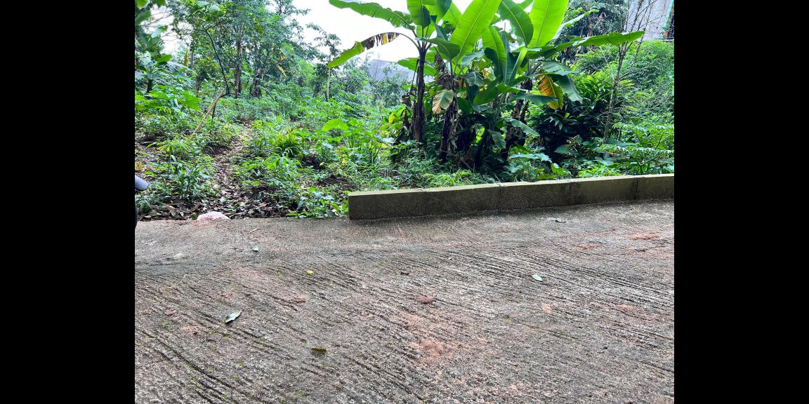 Kebun Durian 2233m² Hanya 350 Juta Kemuning Karanganyar Kebun Durian 2233m² Hanya 350 Juta Kemuning Karanganyar