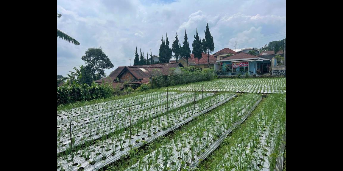 Tanah Strategis Udara Dingin Tawangmangu Karanganyar Tanah Strategis Udara Dingin Tawangmangu Karanganyar