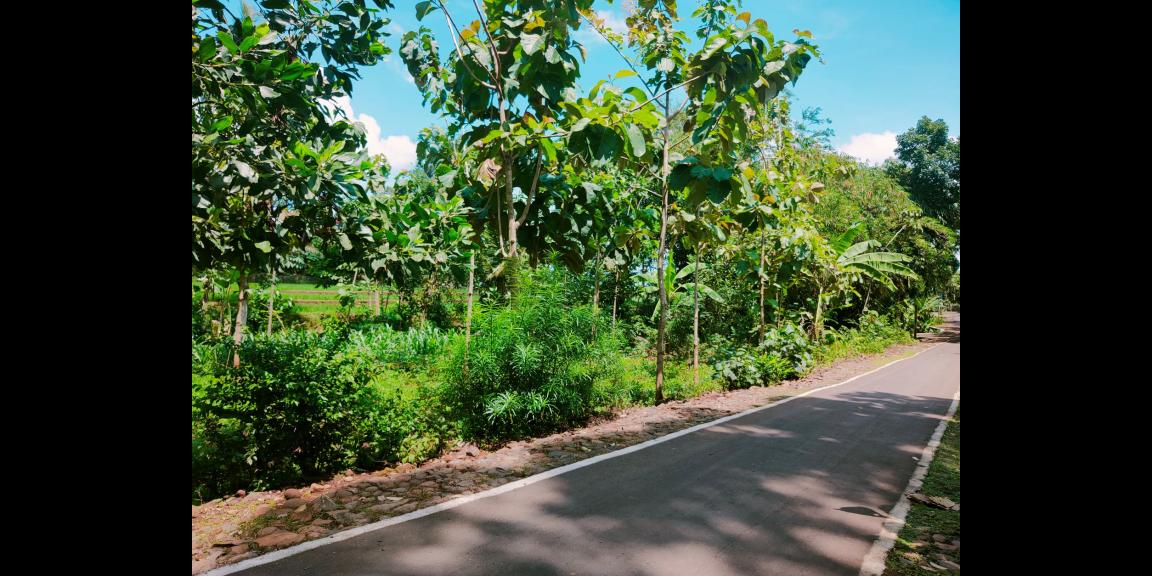 Dijual Tanah 500m² Dekat SMPN 1 Kerjo Karanganyar Dijual Tanah 500m² Dekat SMPN 1 Kerjo Karanganyar