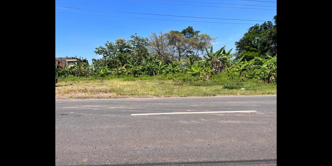 Tanah 2270m² Tepi Jalan Raya Batujamus - Sragen Tanah 2270m² Tepi Jalan Raya Batujamus - Sragen