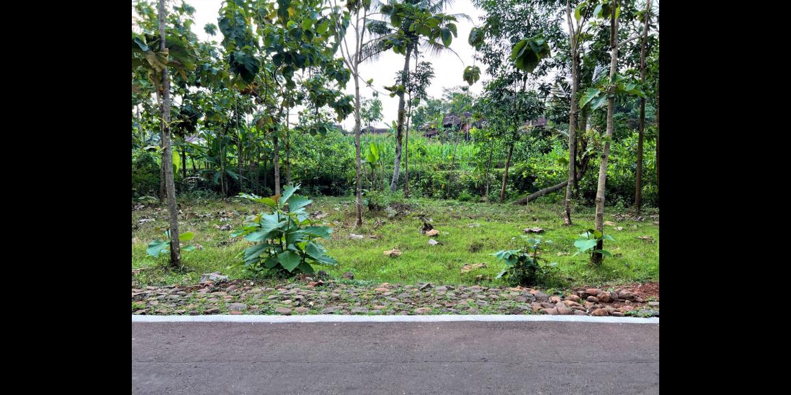 Tanah Datar Strategis Hanya 65 Juta Kerjo Karanganyar Tanah Datar Strategis Hanya 65 Juta Kerjo Karanganyar