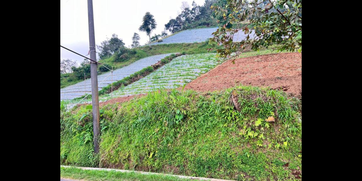 Tanah Dijual View Tanpa Terhalang Dekat Candi Cetho Karanganyar Tanah Dijual View Tanpa Terhalang Dekat Candi Cetho Karanganyar