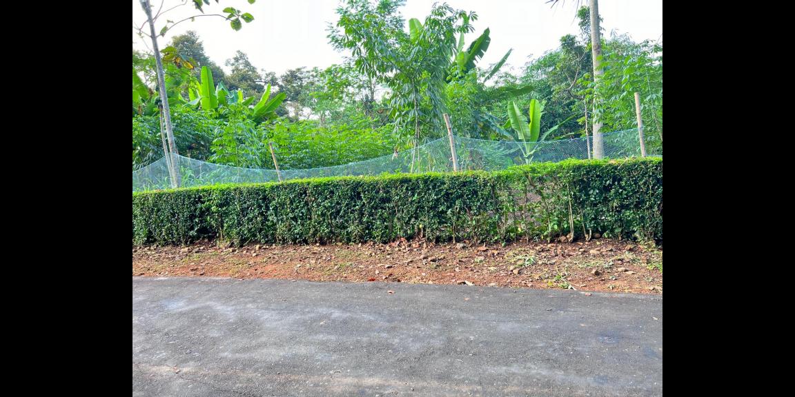 Tanah Datar Hook 2274m² Kerjo Karanganyar Tanah Datar Hook 2274m² Kerjo Karanganyar