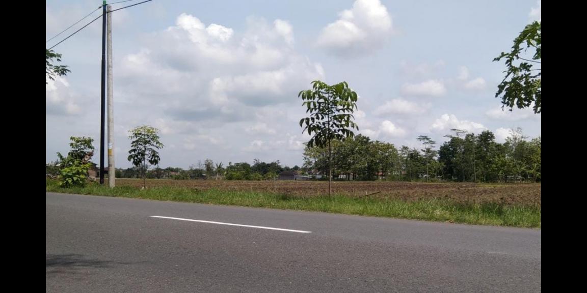 Tanah Datar Siap Bangun 3200m² Karanganyar Kota Tanah Datar Siap Bangun 3200m² Karanganyar Kota