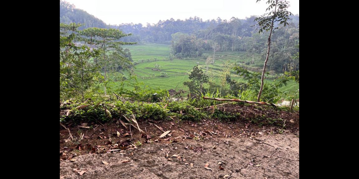 Tanah View Hamparan Sawah 1710m² Karangpandan Tanah View Hamparan Sawah 1710m² Karangpandan