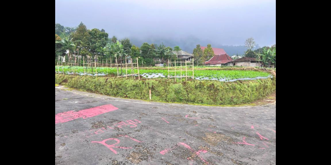 Tanah 400m² View Hutan Pinus Kemuning Karanganyar Tanah 400m² View Hutan Pinus Kemuning Karanganyar