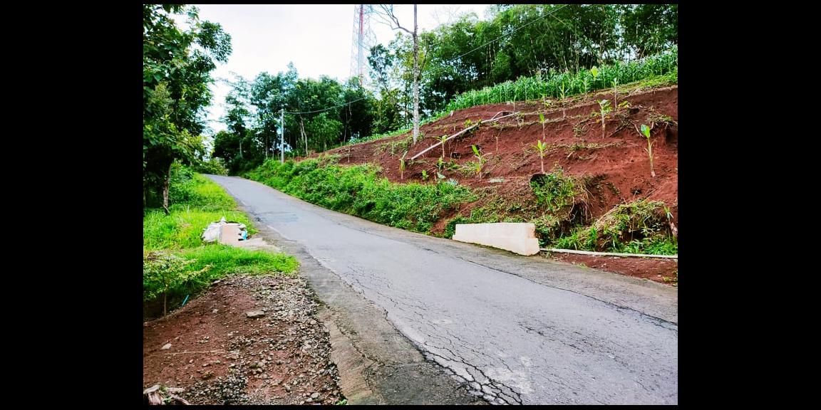 Tanah Strategis Tepi Jl. Raya Kerjo-Kemuning Karanganyar Tanah Strategis Tepi Jl. Raya Kerjo-Kemuning Karanganyar