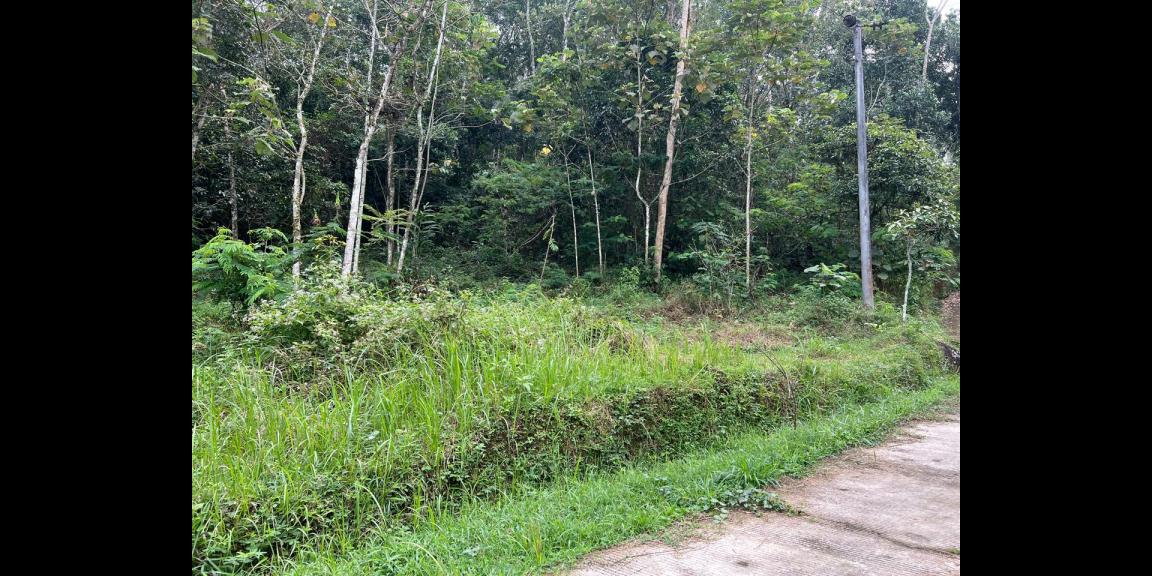 Pekarangan Datar 3820m² Siap Bangun Karangpandan Pekarangan Datar 3820m² Siap Bangun Karangpandan