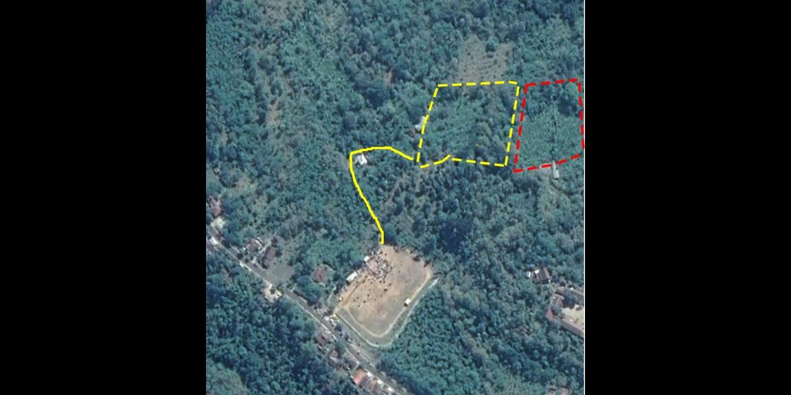 Jual Tanah Perkebunan Siap Panen Luas Daerah Wonosalam Jual Tanah Perkebunan Siap Panen Luas Daerah Wonosalam
