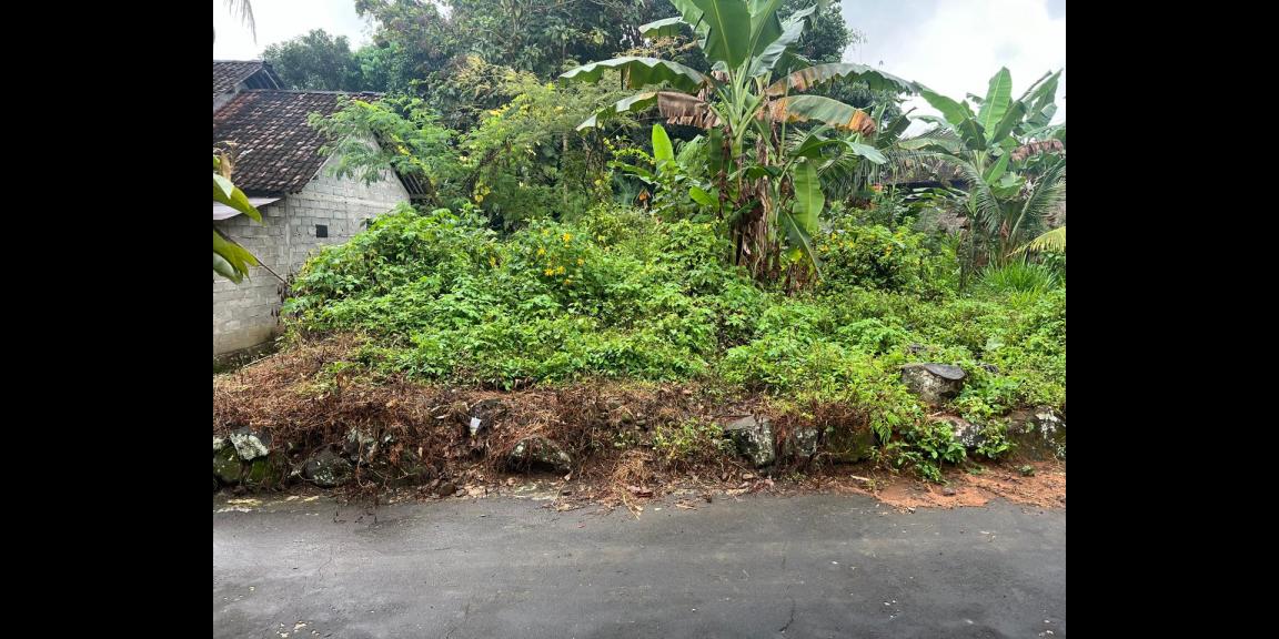 Tanah Datar 600m² Barat Pasar Karangpandan Tanah Datar 600m² Barat Pasar Karangpandan