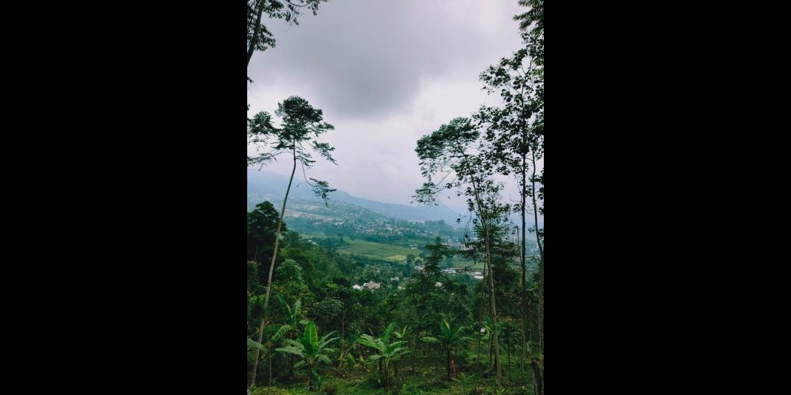 Tanah Strategis View Pemandangan Alam Indah Kemuning Karanganyar Tanah Strategis View Pemandangan Alam Indah Kemuning Karanganyar