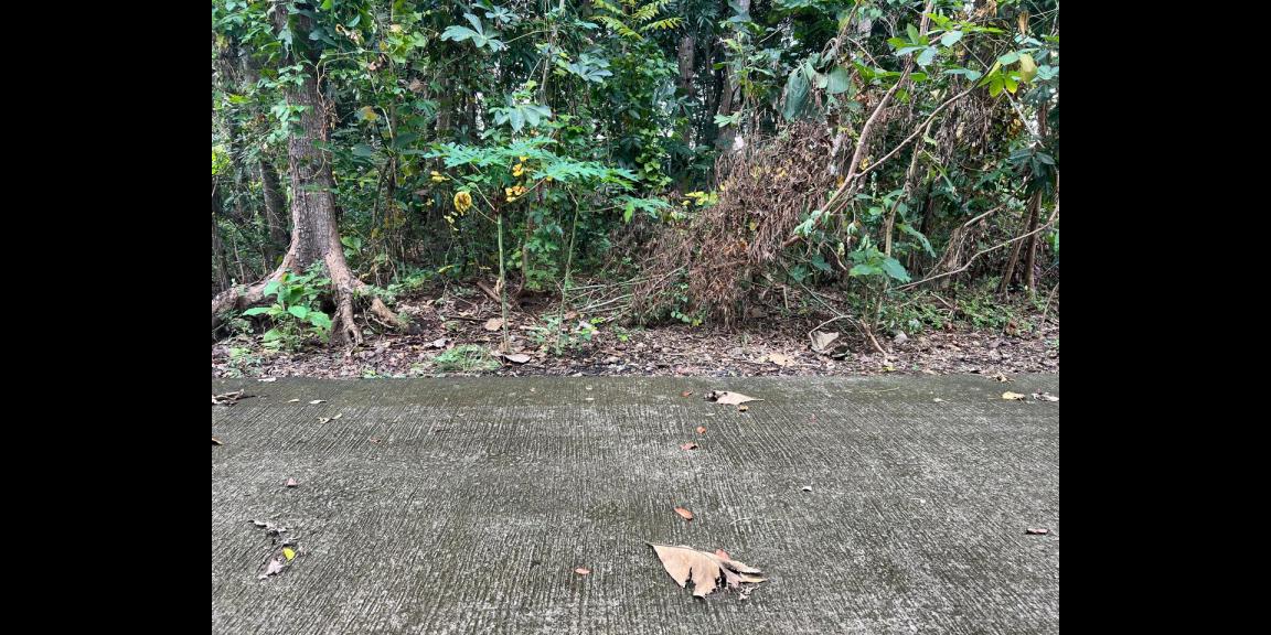 Super Datar Pekarangan 388m² Kedawung Sragen Super Datar Pekarangan 388m² Kedawung Sragen