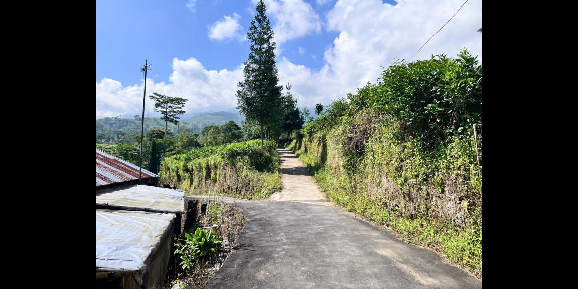 Tanah Strategis 285 Juta Timur Pasar Kemuning Tanah Strategis 285 Juta Timur Pasar Kemuning