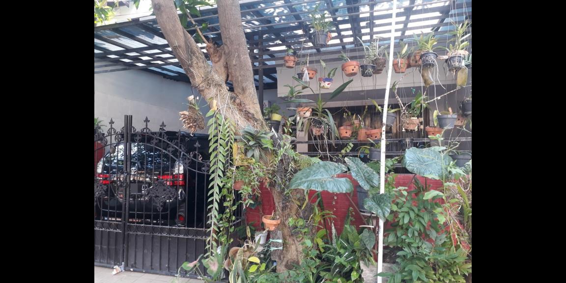 Rumah Murah Semolowaru Indah Daerah Sukolilo Surabaya Rumah Murah Semolowaru Indah Daerah Sukolilo Surabaya