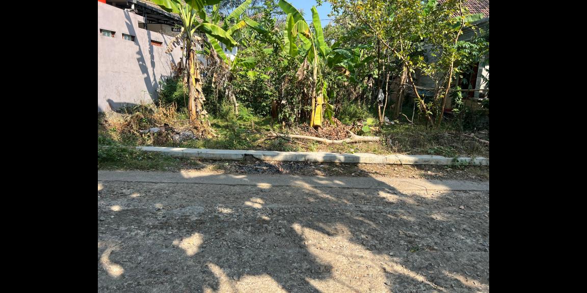 Tanah Datar Hanya 175 Juta Kedawung Sragen Tanah Datar Hanya 175 Juta Kedawung Sragen