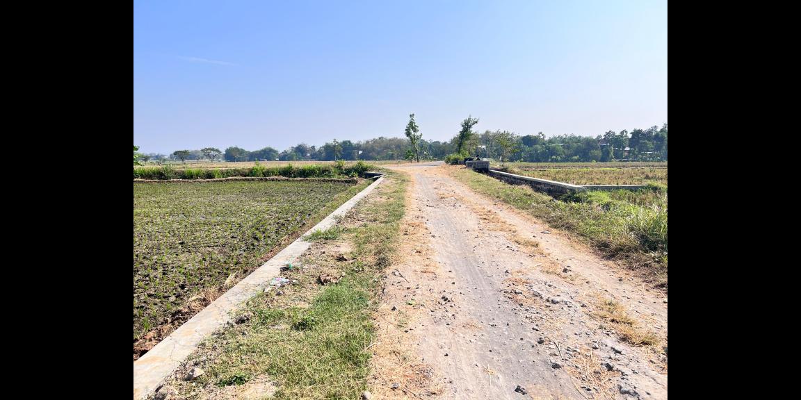 Tanah Subur 1191m² 300 Juta Kedawung Sragen Tanah Subur 1191m² 300 Juta Kedawung Sragen