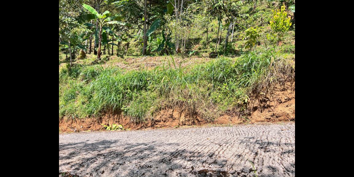 Tanah View Istimewa 1370m² 250 Juta Karanganyar  Tanah View Istimewa 1370m² 250 Juta Karanganyar