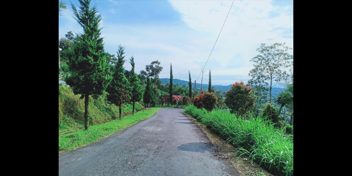 Dijual Tanah Strategis di Kemuning Ngargoyoso Karanganyar Dijual Tanah Strategis di Kemuning Ngargoyoso Karanganyar