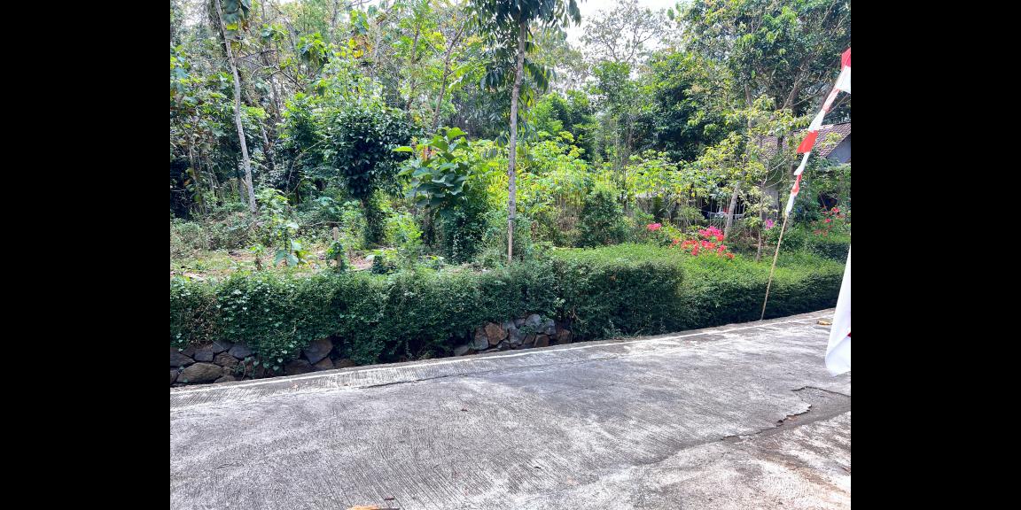 Tanah Hook Super Datar 900m² Utara Pasar Mojogedang Tanah Hook Super Datar 900m² Utara Pasar Mojogedang