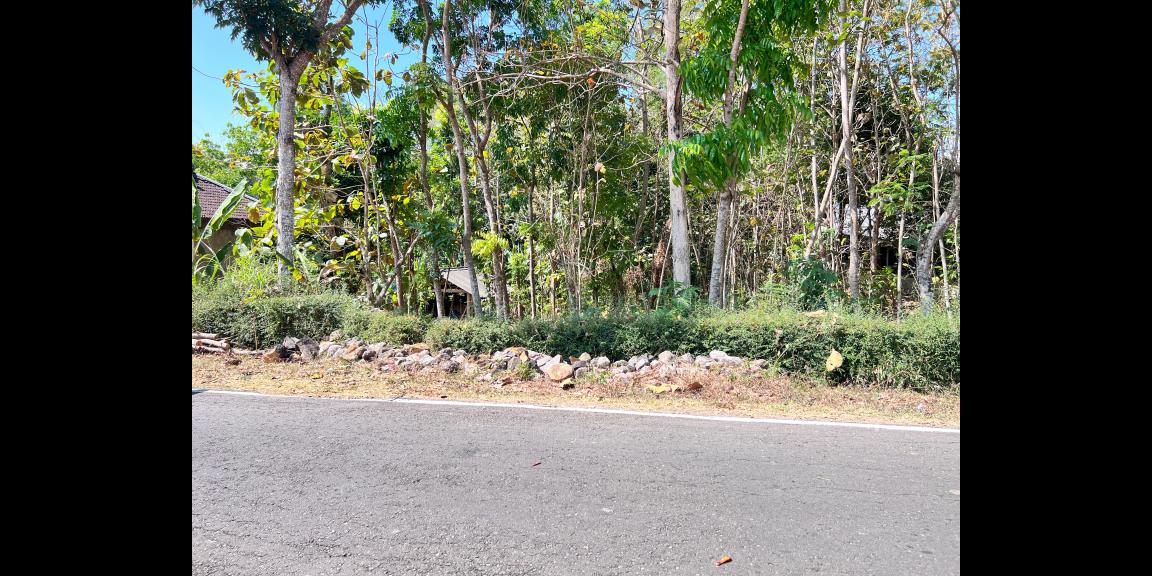 Dijual Pekarangan Strategis Mojogedang 500m² Dijual Pekarangan Strategis Mojogedang 500m²