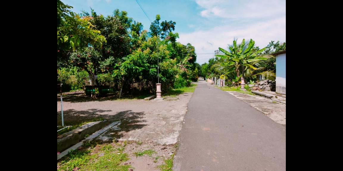 Dijual Tanah Datar Kedawung Sragen Dijual Tanah Datar Kedawung Sragen