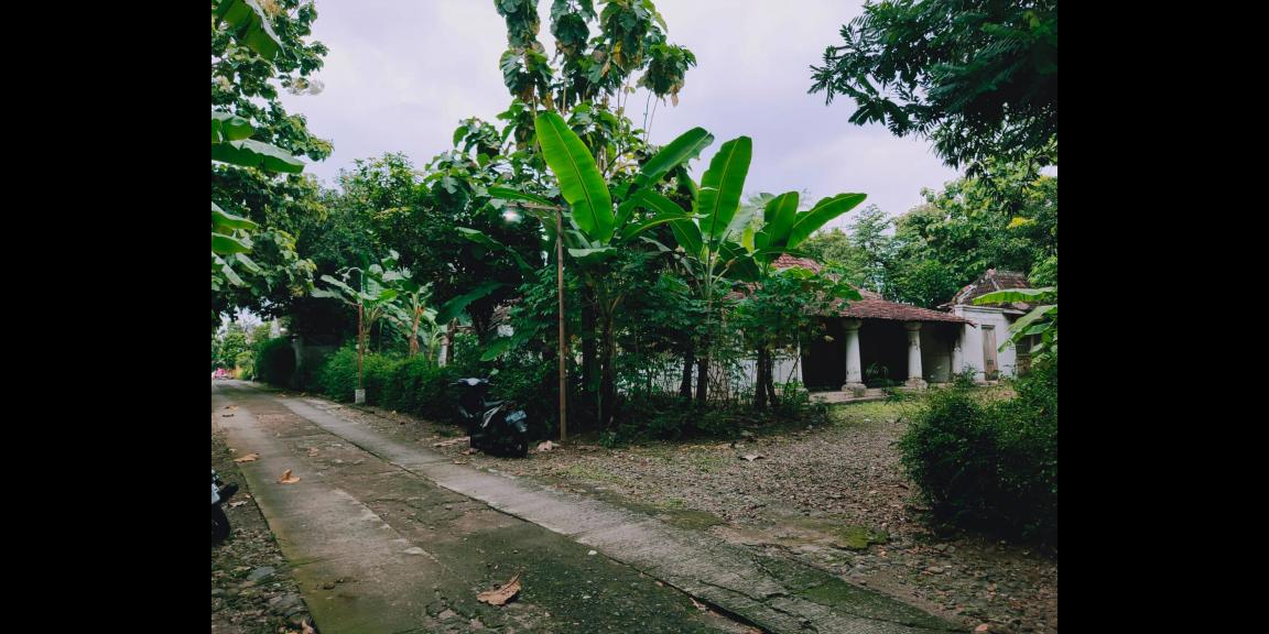 Tanah Bonus Rumah Jawa Siap Huni Kedawung Sragen Tanah Bonus Rumah Jawa Siap Huni Kedawung Sragen