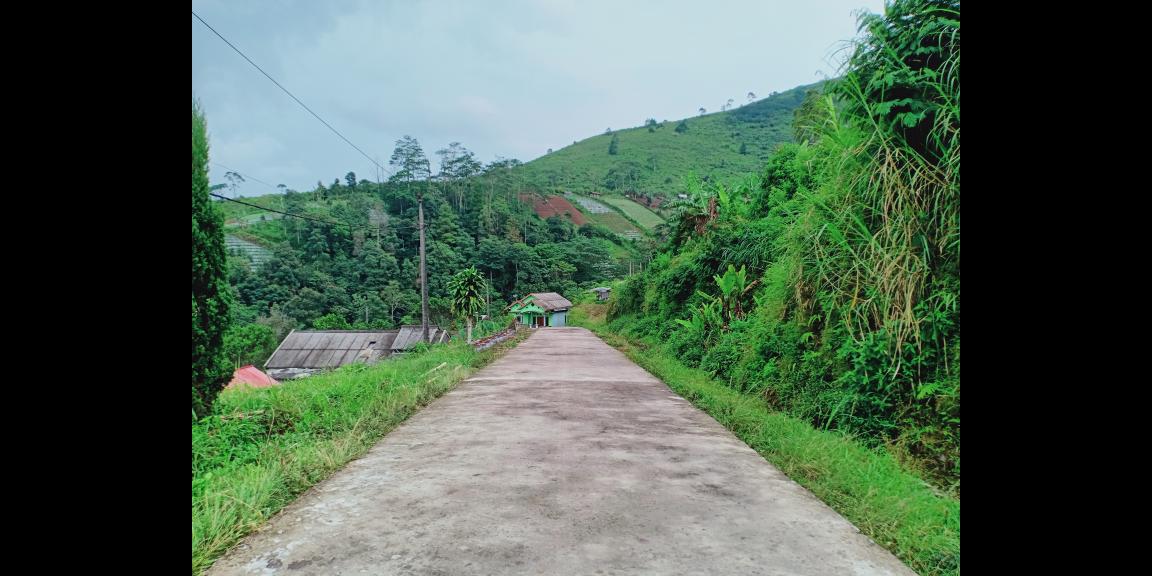 Tanah Cocok dibangun Villa Jl Raya Kemuning Ngargoyoso Karanganyar Tanah Cocok dibangun Villa Jl Raya Kemuning Ngargoyoso Karanganyar