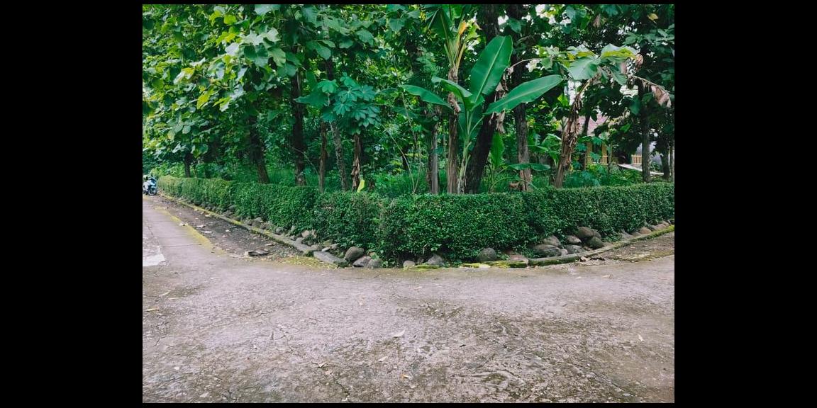 Tanah Hook Strategis Kawasan Permukiman Kedawung Sragen Tanah Hook Strategis Kawasan Permukiman Kedawung Sragen