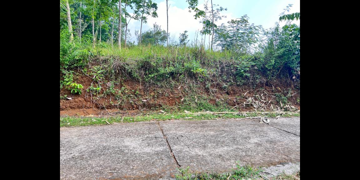 Tanah View Cantik 2850m² Hanya 333rb/m Karangpandan Tanah View Cantik 2850m² Hanya 333rb/m Karangpandan