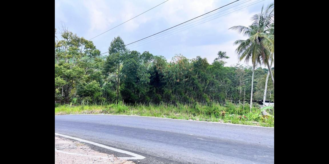 Tanah 250 Juta Strategis Tepi Jl Raya Kerjo-Kemuning Tanah 250 Juta Strategis Tepi Jl Raya Kerjo-Kemuning