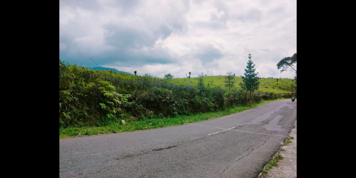 Tanah Datar Strategis Dibangun Villa Ngargoyoso Karanganyar Tanah Datar Strategis Dibangun Villa Ngargoyoso Karanganyar