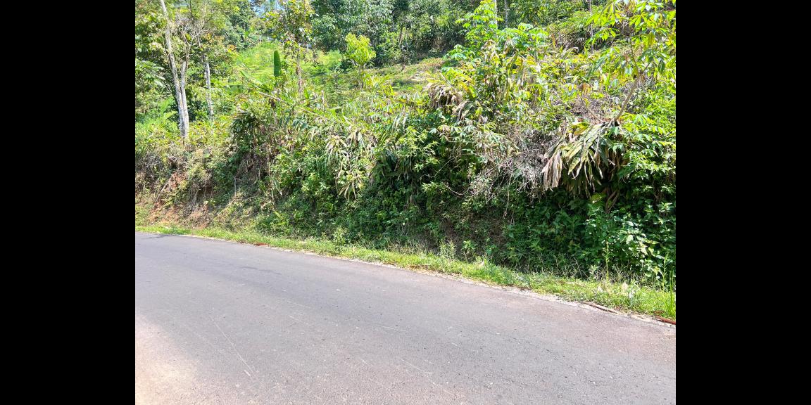 Tanah Tepi Jl DPU 1215m² Ngargoyoso, Karanganyar Tanah Tepi Jl DPU 1215m² Ngargoyoso, Karanganyar