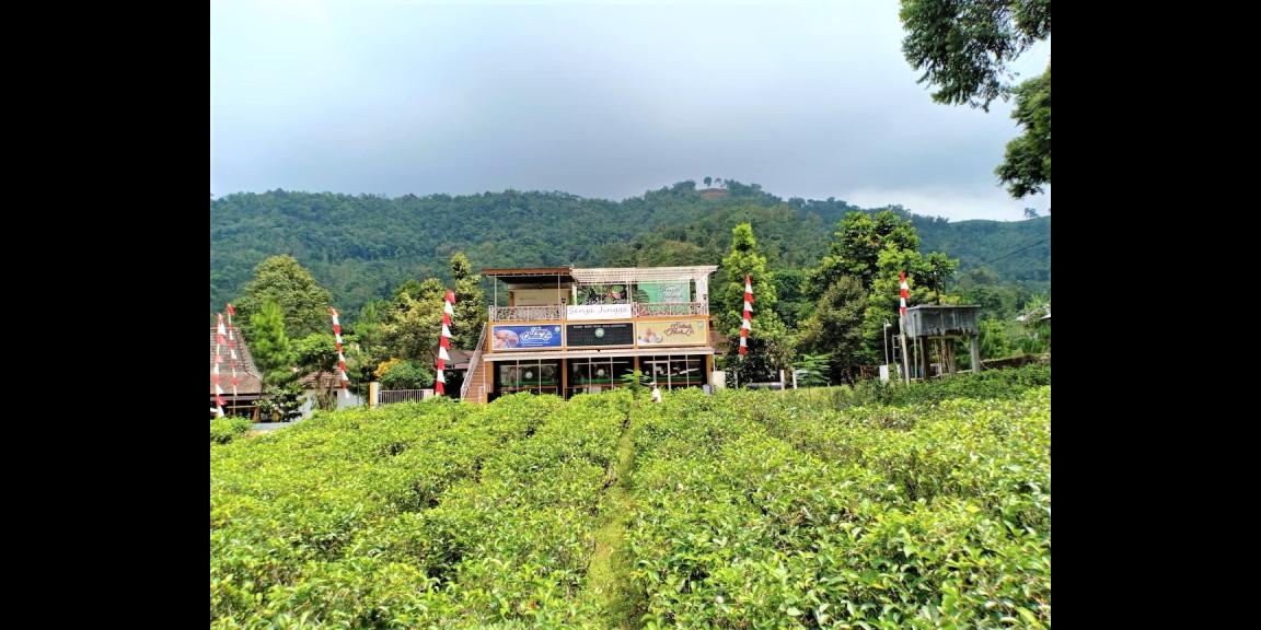 Promo Tanah Kemuning Ngargoyoso Karanganyar Promo Tanah Kemuning Ngargoyoso Karanganyar