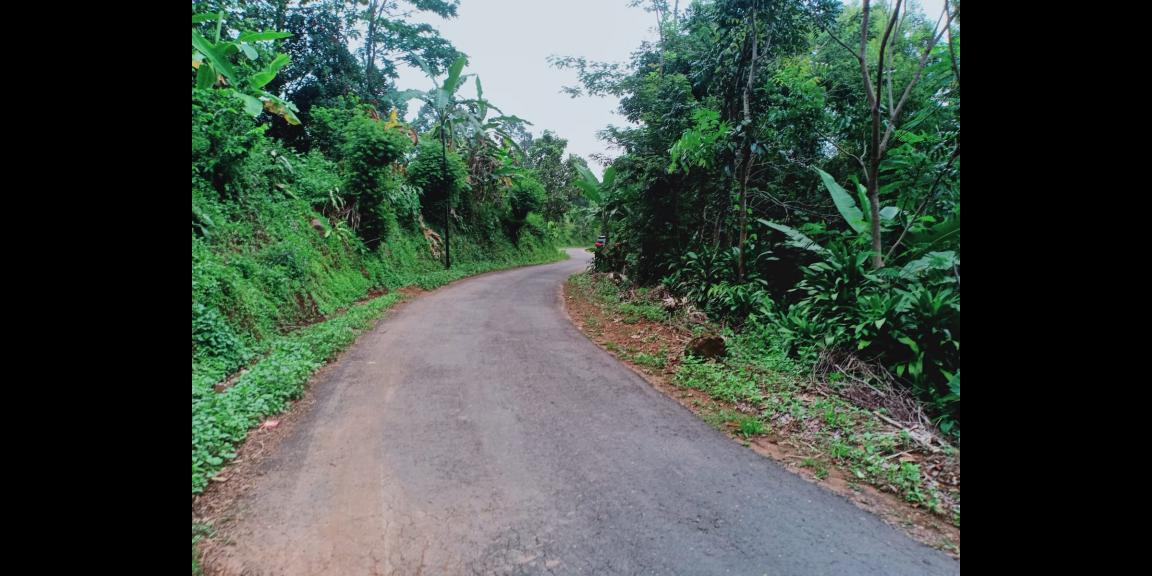 Tanah Cocok untuk Kebun Buah / Investasi Kerjo Karanganyar Tanah Cocok untuk Kebun Buah / Investasi Kerjo Karanganyar