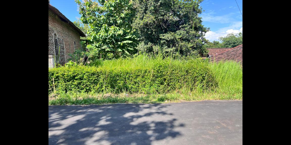 Tanah Siap Bangun 1300m² Hanya 300 Juta Karanganyar Tanah Siap Bangun 1300m² Hanya 300 Juta Karanganyar