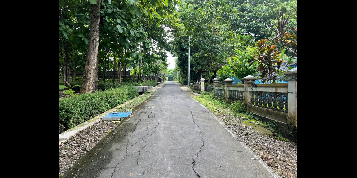 Tanah Murah 150 Juta Tasikmadu Karanganyar Tanah Murah 150 Juta Tasikmadu Karanganyar