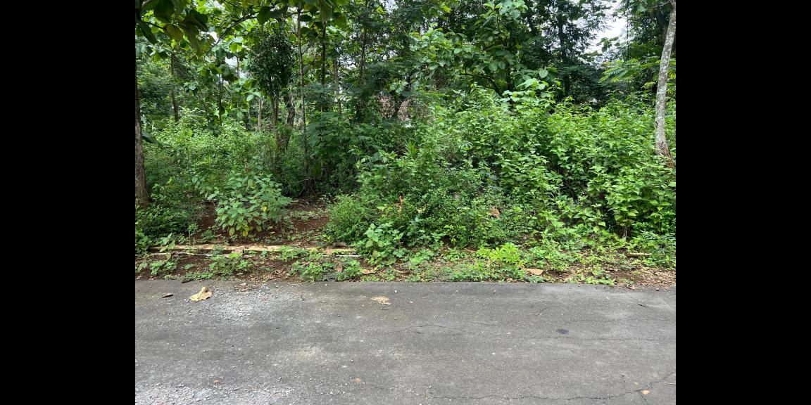 Pekarangan Super Datar 740m² Karanganyar Utara Pekarangan Super Datar 740m² Karanganyar Utara