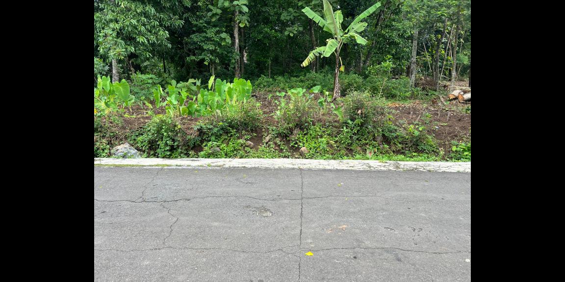 Tanah 257 Juta Cocok Dibangun Rumah Karanganyar Tanah 257 Juta Cocok Dibangun Rumah Karanganyar