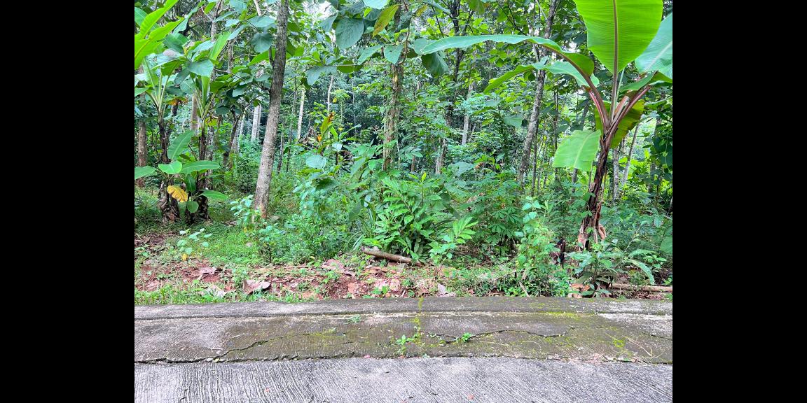 Pekarangan Super Datar 900m² Mojogedang, Karanganyar Pekarangan Super Datar 900m² Mojogedang, Karanganyar