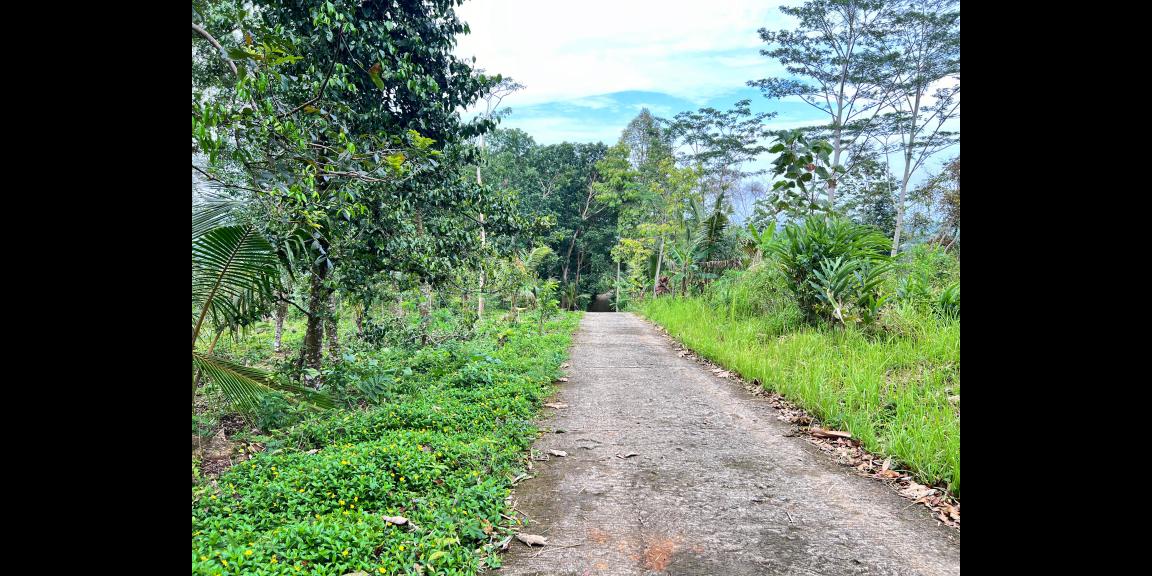 Tanah 2960m² Hanya 275 Juta Udara Dingin Karangpandan Tanah 2960m² Hanya 275 Juta Udara Dingin Karangpandan