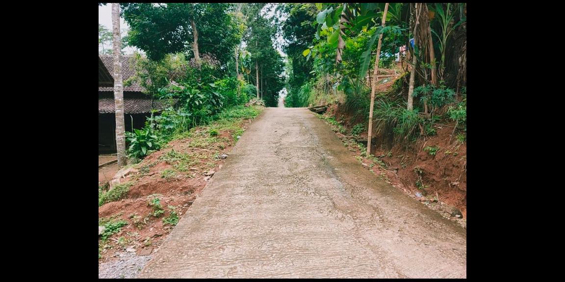 Tanah Bonus Kebun Durian Siap Panen Karangpandan Karanganyar Tanah Bonus Kebun Durian Siap Panen Karangpandan Karanganyar