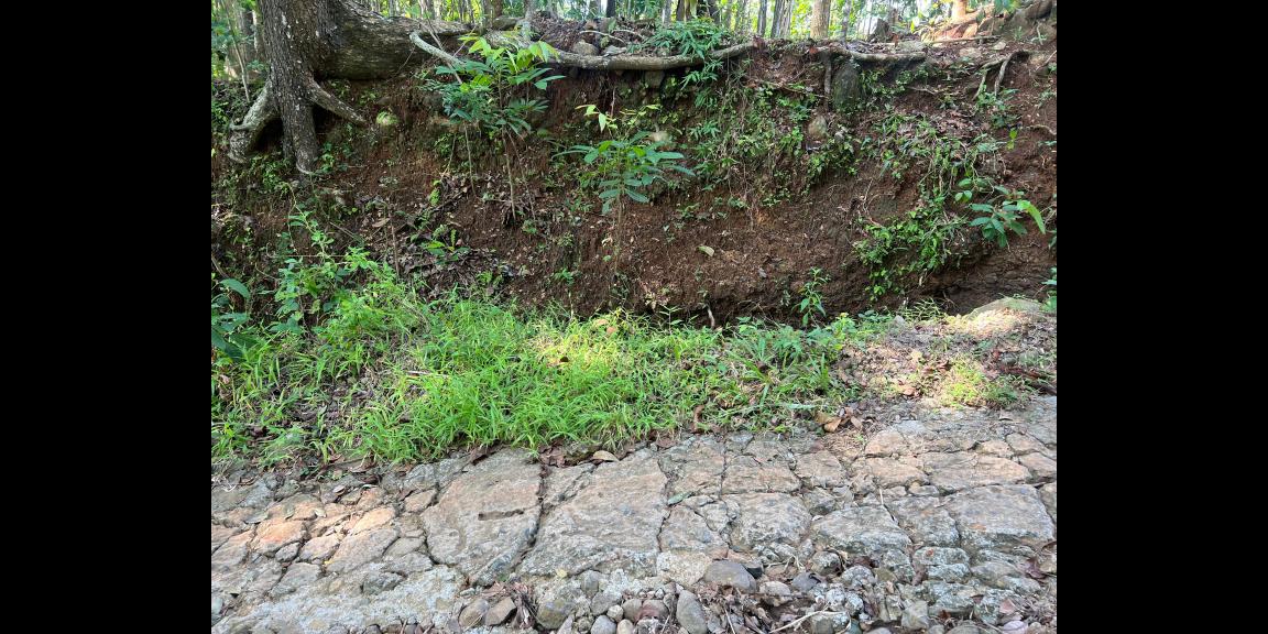 SUPER MURAH TANAH DATAR HANYA 50JT KEDAWUNG, SRAGEN SUPER MURAH TANAH DATAR HANYA 50JT KEDAWUNG, SRAGEN