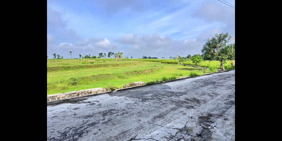 Tanah Strategis 4770m² Zona Kuning Sragen Tanah Strategis 4770m² Zona Kuning Sragen