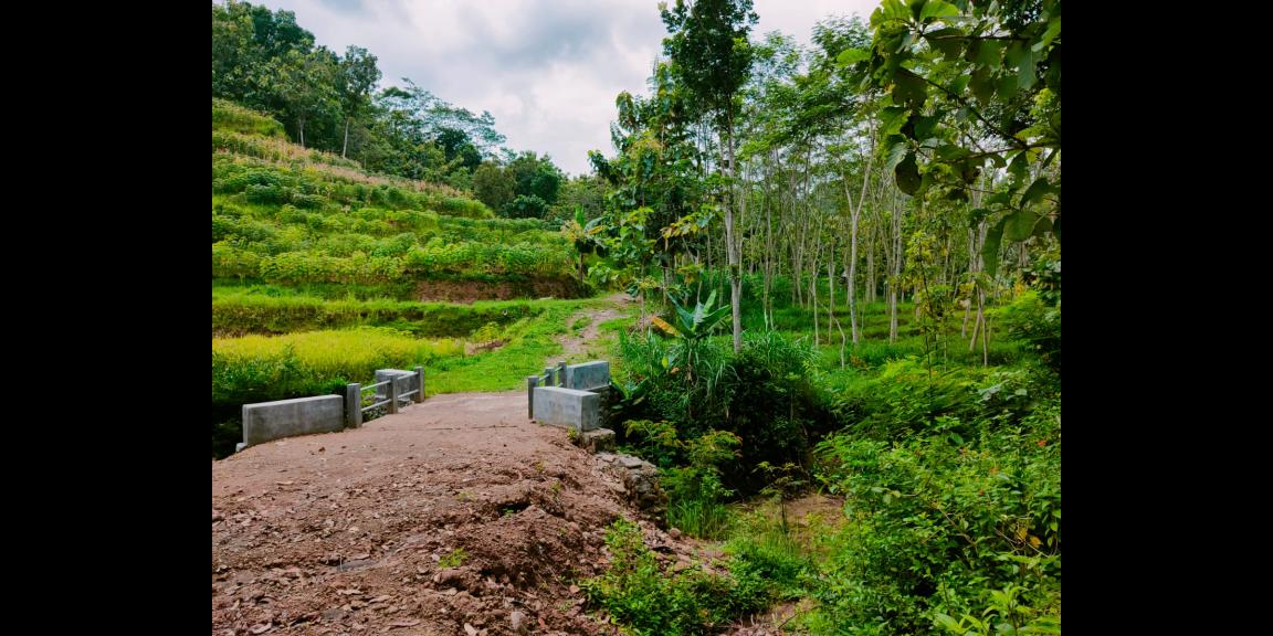 Tanah Kebun Jati Sambirejo Sragen Tanah Kebun Jati Sambirejo Sragen