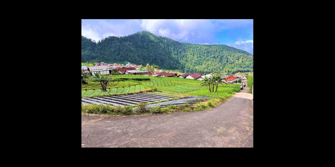 Tanah Idaman Cocok Untuk Villa Wisata Tawangmangu Tanah Idaman Cocok Untuk Villa Wisata Tawangmangu