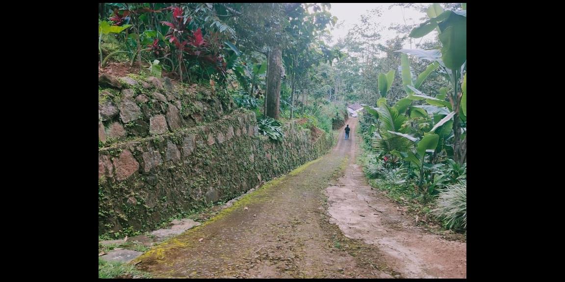 Tanah Kebun Durian 3000 m² Siap Panen Kawasan Wisata Alam Karangpandan Karanganyar Tanah Kebun Durian 3000 m² Siap Panen Kawasan Wisata Alam Karangpandan Karanganyar