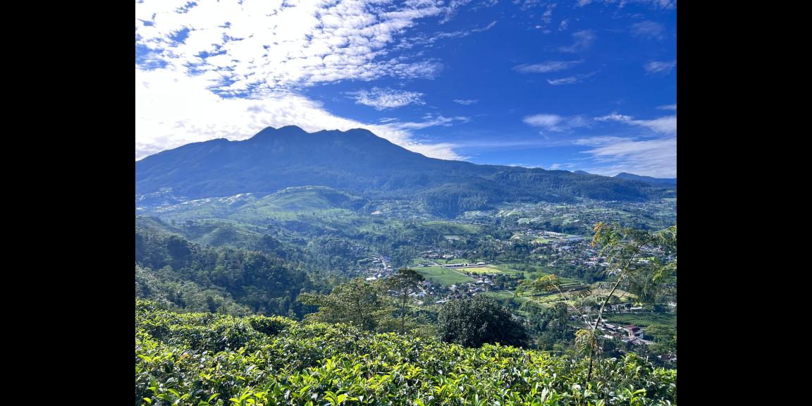 Tanah 3780m2 View Cantik Kemuning, Karanganyar Tanah 3780m2 View Cantik Kemuning, Karanganyar