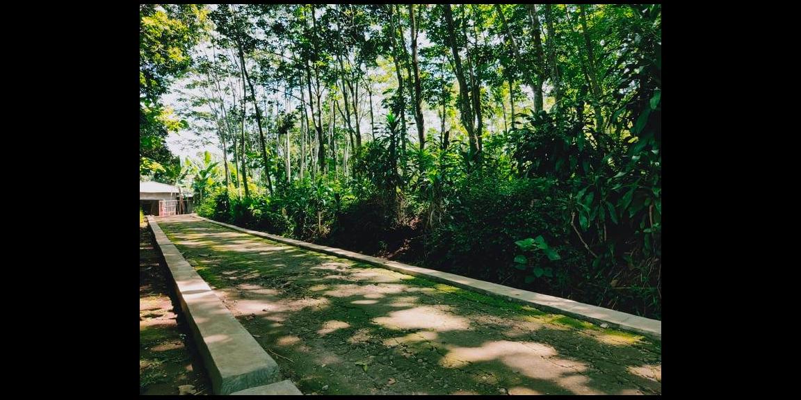 Tanah Datar Subur 3900m² Desa Wisata Mojogedang Karanganyar Tanah Datar Subur 3900m² Desa Wisata Mojogedang Karanganyar