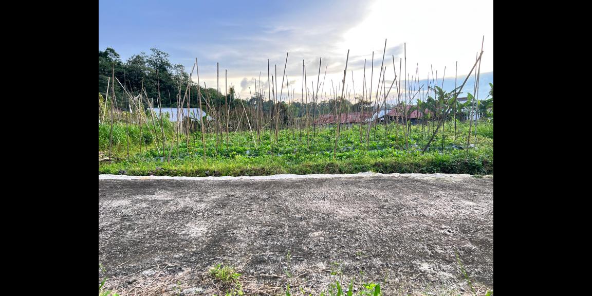 Tanah Udara Dingin 562m² Kawasan Strategis Karangpandan Tanah Udara Dingin 562m² Kawasan Strategis Karangpandan